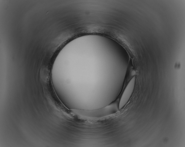 X0000090930164200708271051