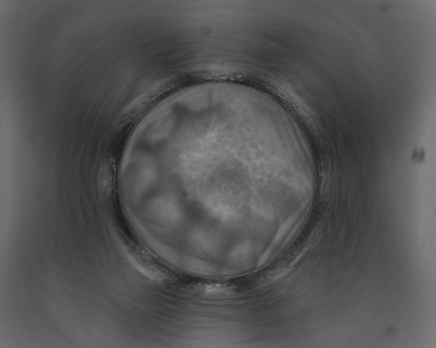 X0000090930165200708271051