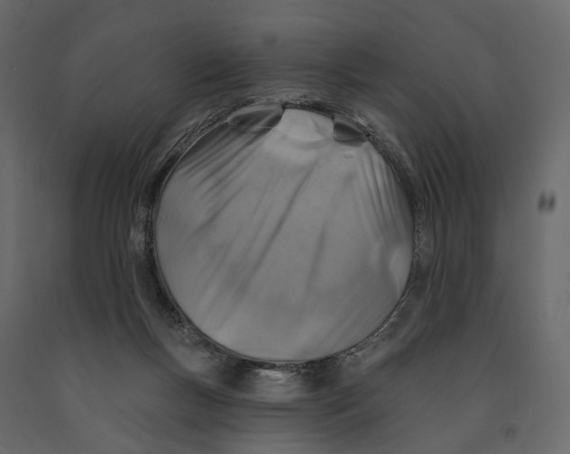 X0000090930167200708271051