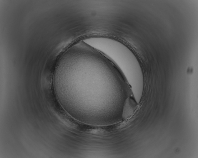 X0000090930168200708271051