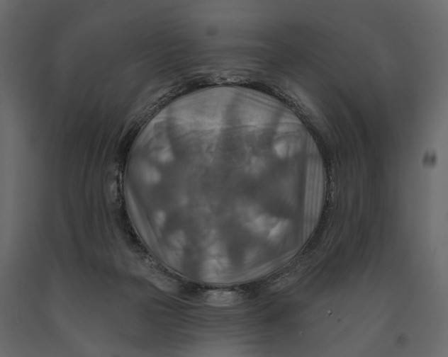 X0000090930169200708271051