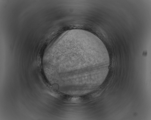 X0000090930173200708271051