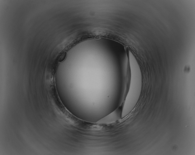 X0000090930176200708271051