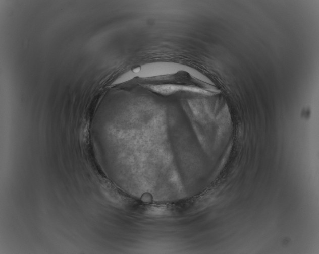 X0000090930177200708271051