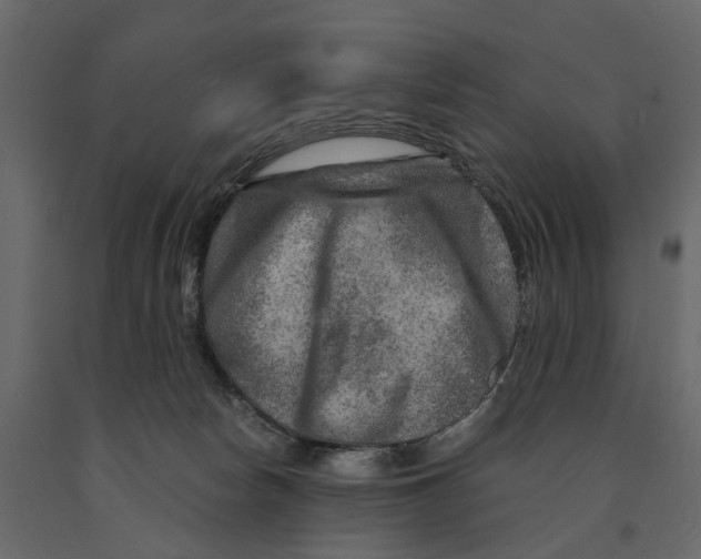 X0000090930178200708271051