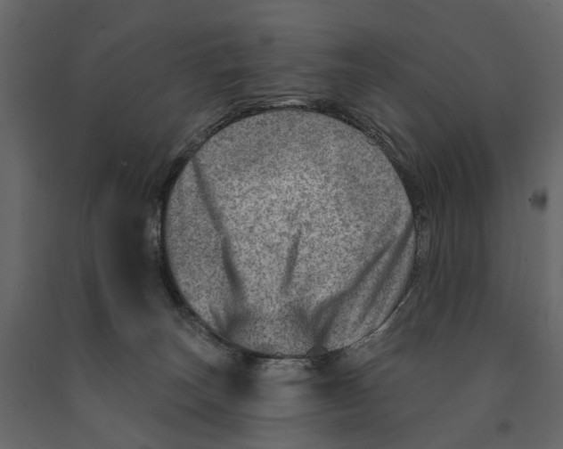 X0000090930179200708271051