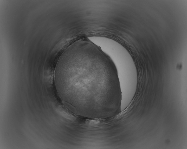 X0000090930180200708271051