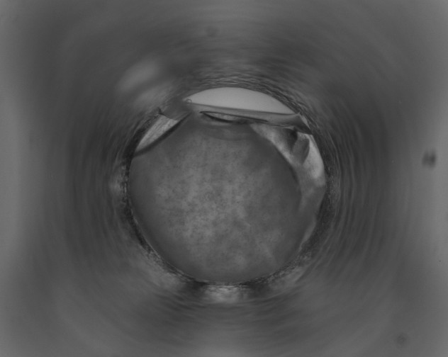 X0000090930181200708271051