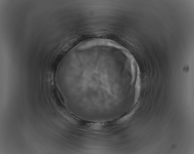 X0000090930182200708271051