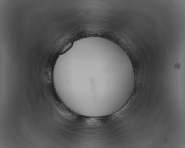 X0000090930183200708271051