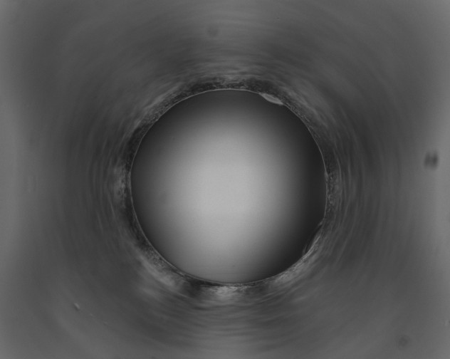 X0000090930184200708271051