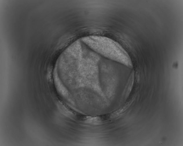 X0000090930185200708271051