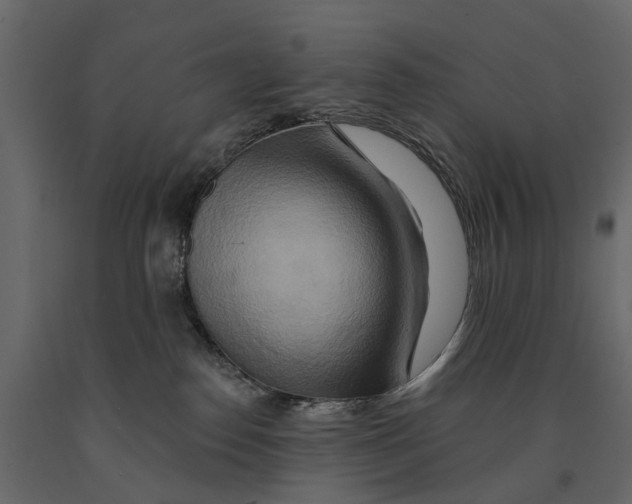 X0000090930186200708271051