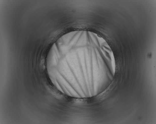 X0000090930187200708271052