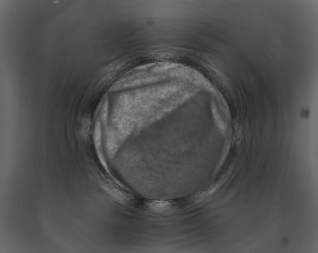 X0000090930189200708271052