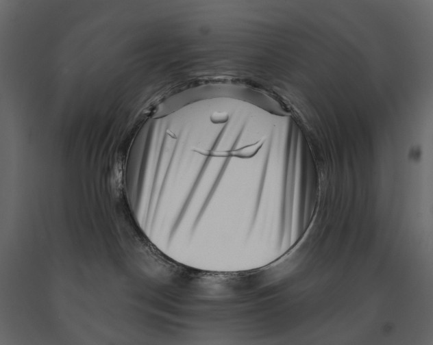 X0000090930190200708271052