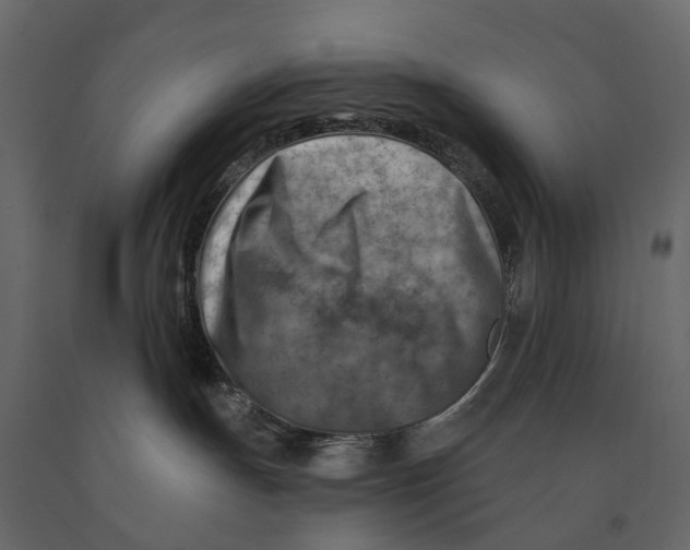 X0000090930191200708271052