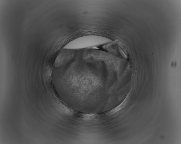 X0000090930192200708271052