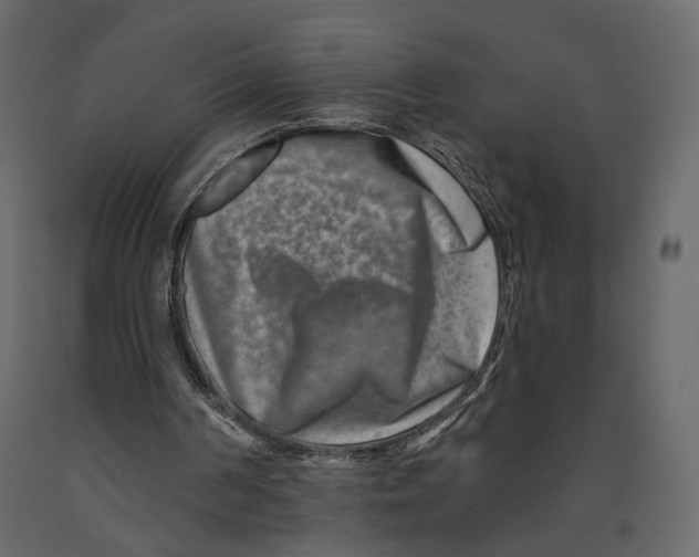 X0000090930194200708271051