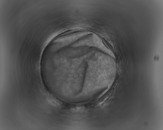 X0000090930196200708271051