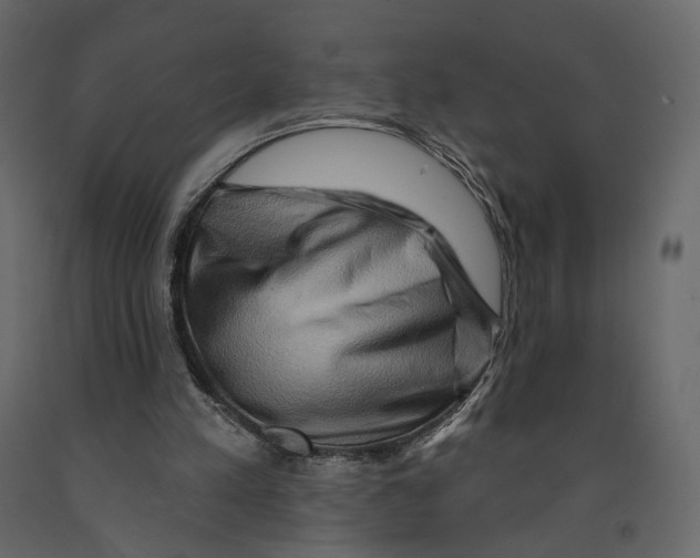 X0000090930197200708271051