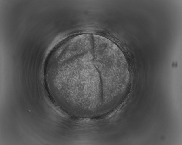 X0000090930198200708271051