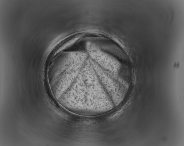 X0000090930199200708271051