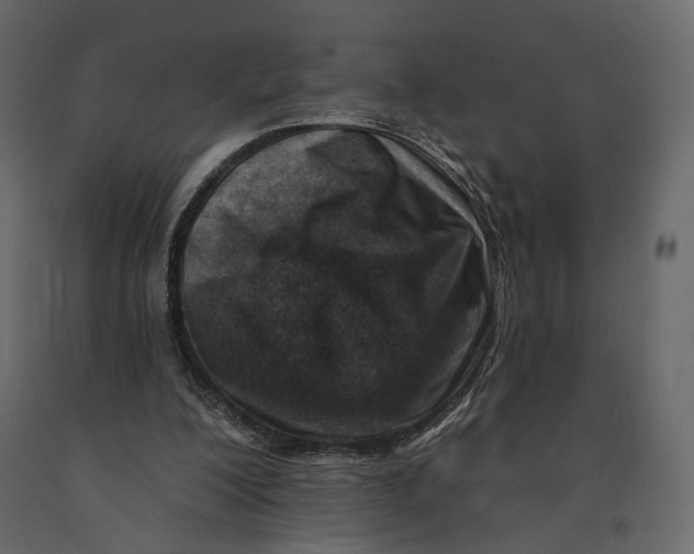 X0000090930200200708271051