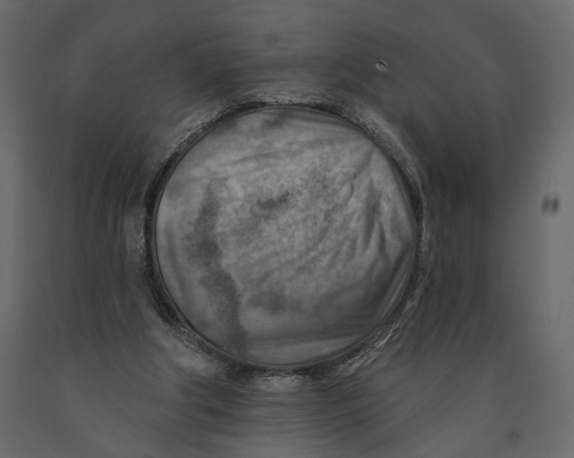 X0000090930202200708271051