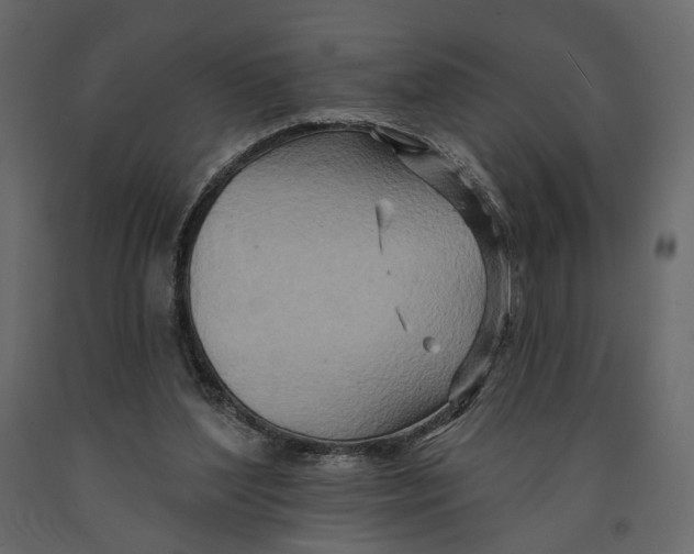 X0000090930204200708271051