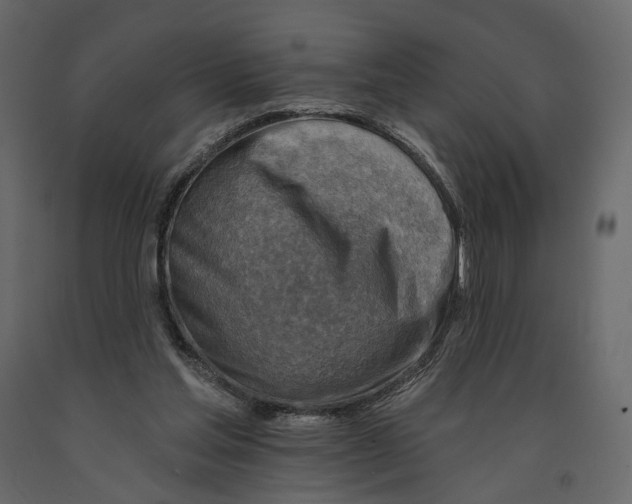 X0000090930205200708271051