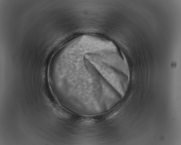 X0000090930206200708271051