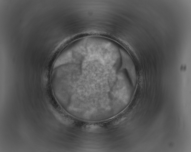 X0000090930208200708271051