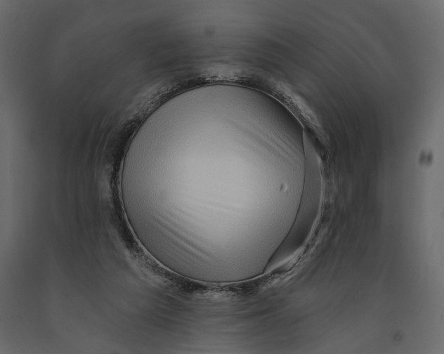 X0000090930209200708271051