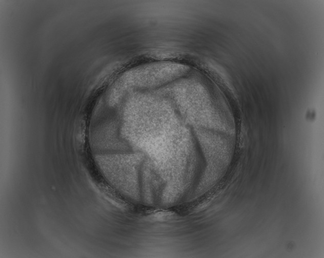 X0000090930210200708271051