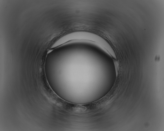 X0000090930215200708271051