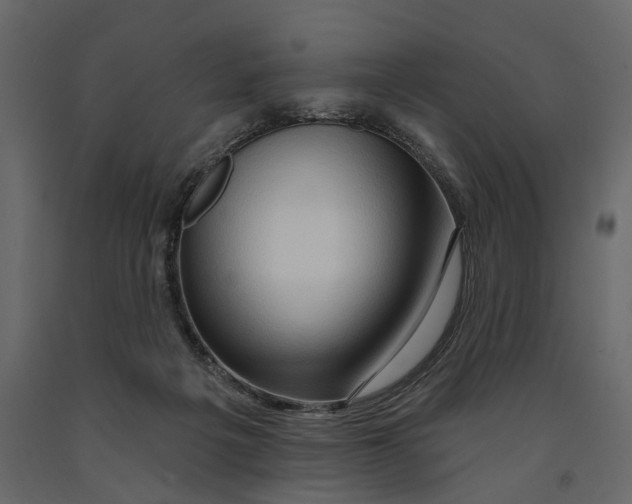 X0000090930217200708271051