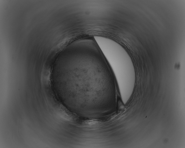 X0000090930219200708271051