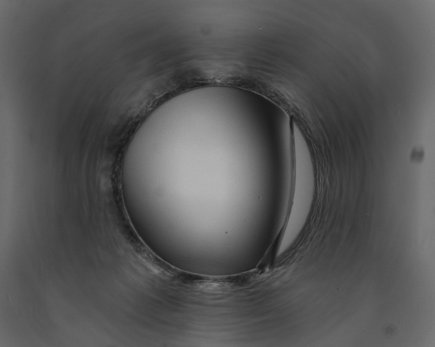 X0000090930221200708271051