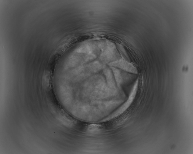 X0000090930222200708271051