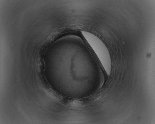 X0000090930223200708271051