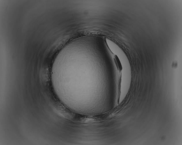 X0000090930224200708271051