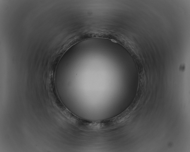 X0000090930225200708271051