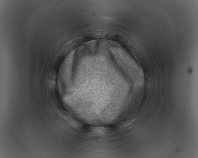 X0000090930226200708271051