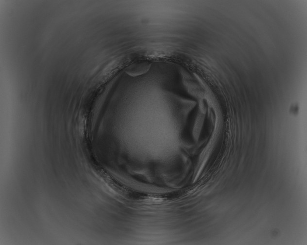 X0000090930227200708271051