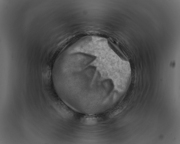 X0000090930228200708271051