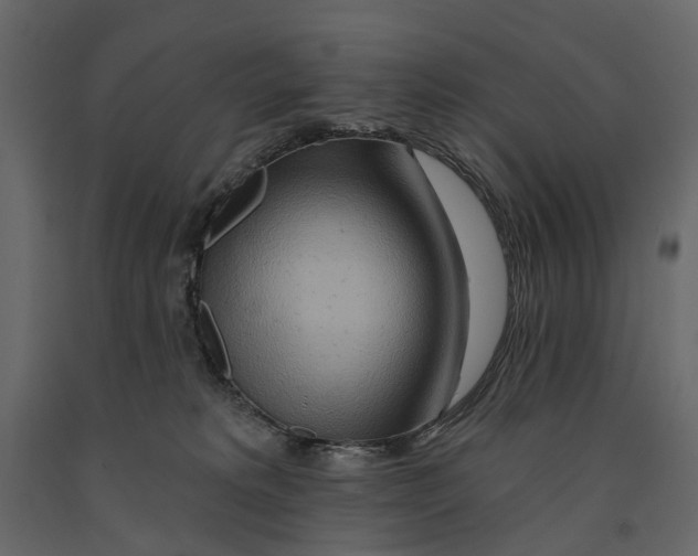 X0000090930229200708271051