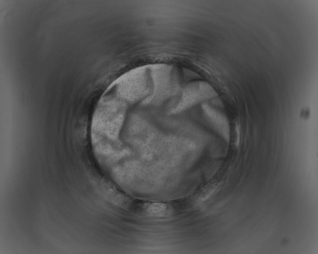 X0000090930230200708271051