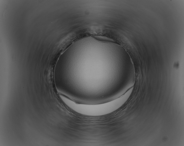 X0000090930233200708271050