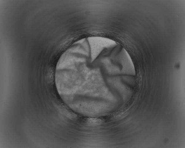 X0000090930234200708271050